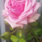 WhatsApp Image 2020-05-06 at 21.04.32