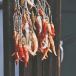 priscilla-du-preez-VxP-UXR8t40-unsplash